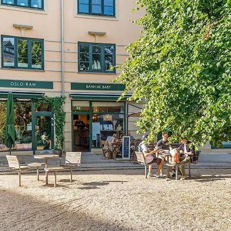 Apartment Summer Terrace Fast Wifi Deluxe Charming Oslo